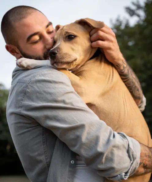 Outros de Saúde Animal